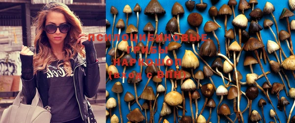 метадон Алексеевка
