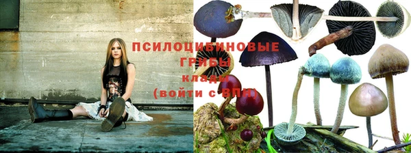 наркотики Алексин